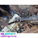 Коробка передач Ford (5 ступка) для Focus, 2008 рік, 1.6 л, бензин.