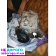Коробка передач Ford Fusion: Агрегат 6F35, модель 2012, об'єм двигуна 2.5 л, паливо бензин.