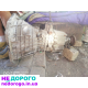 Коробка передач Ford Transit 2.5 дизель 1993, 2.5 л, дизель.