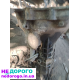 Коробка передач Getrag M60 BMW e21 e28