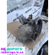 Коробка передач кпп 1.9 tdi KBL 5ступ Skoda Volkswagen caddy golf b6