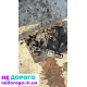 Коробка передач кпп5 пежо 405 peugeot 405 1.6 1.9