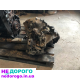 Коробка передач КПП 5ст Ford Транзит 2.2 Puma 36зуб. 2006 рік, дизель, 2.2 л.