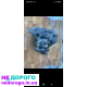 Коробка передач Opel Vectra C 1.8 2004 р.в. 1.8 л бензин.