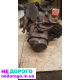 Коробка передач Mazda 626 gc 2.0, 1990 рік, бензин, 2.0 л.