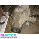 Коробка передач Мазда 626GF 1.8 бензин 1998 рік 1.8л.
