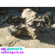 Коробка передач Mazda 626, FNR5, 2002, 2.0 л, бензин.