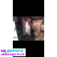 Коробка передач механічна для Renault Espace 2.2 дизель, 2005 рік, об'єм двигуна 2.2 л, паливо - дизель.