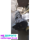 Коробка передач механічна для Audi A6 C5, 2003 рік, об'єм двигуна 2.0 л, паливо - бензин.