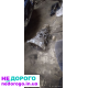 Коробка передач механіка 5ст для Ауді 100/200 2.0 D Дизель, 1990 р.в., об'єм двигуна 2.0 л, паливо - дизель.