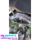 Коробка передач механіка для Ауді 80 Б3 1986 1.8 бензин, А6С5 1999 2.0 дизель, Пасат Б5 2001 1.9 TDI.