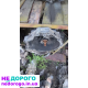 Коробка передач механіка для Ауді 80 Б3 1986 1.8 бензин, А6С5 1999 2.0 дизель, Пасат Б5 2001 1.9 TDI.