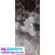Коробка передач МКПП Mercedes Vito 638 Sprinter 2.2 2.3 1996-2003 2.2-2.3 л дизель.