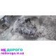 Коробка передач МКПП КПП Renault Megane 2 1.5 dci
