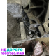 Коробка передач МКПП Skoda, seat, polo JCZ,MFX, KFK,JHQ