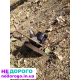 Коробка передач на peugeot 405