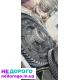 Коробка передач Nissan Almera N16 2.2di YD-1, 2003 рік, дизель, 2.2 л.