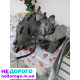 Коробка передач Opel Corsa D 1.3 CDTI, 2009, 1.3 л дизель.