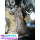Коробка передач Opel Frontera 2.0 бензин 1998 рік 2.0L.