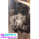 Коробка передач Opel Vectra C 2005 1.8 бензин, Astra H 2007 1.6 дизель, Zafira B 2009 2.0 бензин, Omega B 1998 2.5 дизель.
