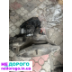 Коробка передач RENAUL T2.5 DCI PK6027: агрегат, модель, рік, об'єм двигуна, паливо.