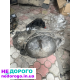 Коробка передач RENAUL T2.5 DCI PK6027: агрегат, модель, рік, об'єм двигуна, паливо.