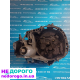 Коробка передач Рено Kengo 1.5 Euro 3, Euro 4 Euro 5 1.5 dci jb3974, 2005, дизель.