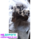 Коробка передач шкода Тур  в зборі