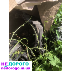Коробка передач T4 2.4d Volkswagen Transporter 1990 2.4 л дизель.