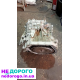 Коробка передач варіатор HCF-2 для Honda Civic 2021, 4000 км, бензин, 1.5 л.