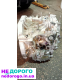 Коробка передач варіатор HCF-2 для Honda Civic 2021, 4000 км, бензин, 1.5 л.