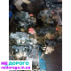 Коробка Передач VW Golf4/Caddy/Skoda Octavia/Audi A3 1.4-1.6b/1.9sdi