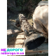 Коробка передач 2.5 tdci Ford Ranger, модель, рік випуску, об'єм двигуна 2.5 л, дизель.