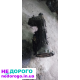 КПП АКПП Коробка передач Роздатка Porsche Cayenne 955 4.5 4.8