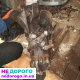 КПП AUDI 100 C3  D  3U30083  6cт