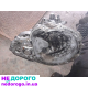 КПП chevrolet AVEO LACETTI EPICA коробка MATIZ матис эпика OPEL