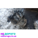 КПП Citroën Berlingo Peugeot Partner 1.9d, ML5T, 2002, 1.9 л, дизель.
