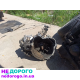 КПП Daewoo Matiz: коробка передач, M150, 2000, 0.8 л, бензин.