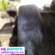 КПП Fiat Ducato 2.0 20MM01 Jumper 2.0 Boxer 9637683280, 2001, 2.0 л, дизель.