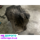 КПП Ford Mondeo 1.2, ручна, 2019, 1.2 л, бензин.