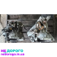 Коробка передач Ford Transit 2.2tdci 6C1R7002DC, 6 швидкостей, 2011 рік, дизель, 2.2 л.