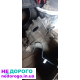 КПП Honda Accord CA5 1.6: Механічна коробка передач, 1985 рік, 1.6 л двигун, бензин.