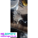 КПП Honda Accord CA5 1.6: Механічна коробка передач, 1985 рік, 1.6 л двигун, бензин.