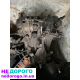 КПП коробка 1.9 1.5 Renault Kangoo Рено Кенго Megan 2 Scenic 2