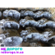 КПП PF6 для Renault Master, Opel Movano 3.0 DCI, PF6052, новий, 2022, дизель.