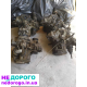 КПП коробка Golf 4 VW 1.4, 1.6, 1.9 Octavia Tour Гольф 4 шкода Тур Б 3