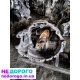 КПП коробка передач 012301103AD audi a4b6 passat b5 1.9тд