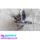 КПП (коробка передач) 1.3 бензин Volkswagen Golf 2,3 Jetta