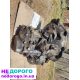 КПП Daewoo Leganza, 2002, 2.0 л, бензин.
