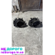 КПП Kia Sportage D4EA 2005 2.0 дизель. Hyundai Tucson Elantra Santa Fe.
